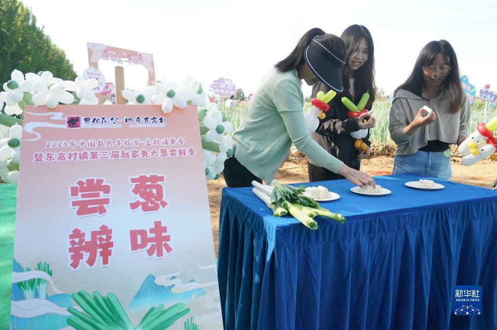 万象城娱乐开户